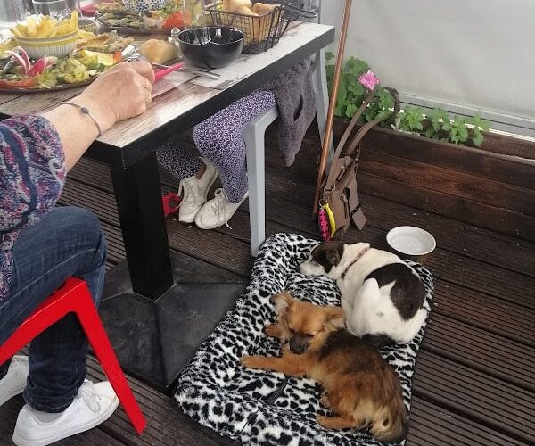 Restaurant Bahia à Agde, France