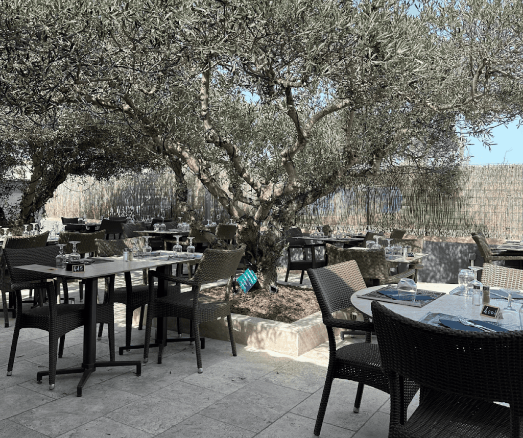 Restaurant Le Clos des Oliviers, au Baïsses à Lançon-Provence, France