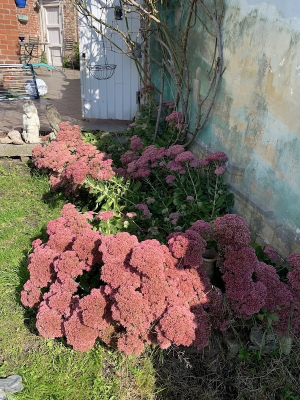 Restaurant Le Vespéral à Charleroi, Belgique