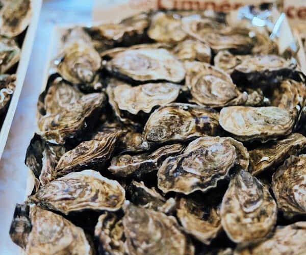 Restaurant Oyster Club à Étretat, France