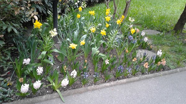 Restaurant-pizzeria Chez Deniz à Saint-Jean-de-Maurienne, France