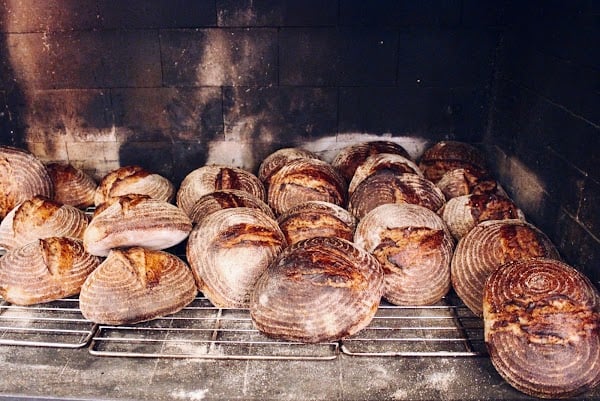Restaurant Veranda à Anvers, Belgique