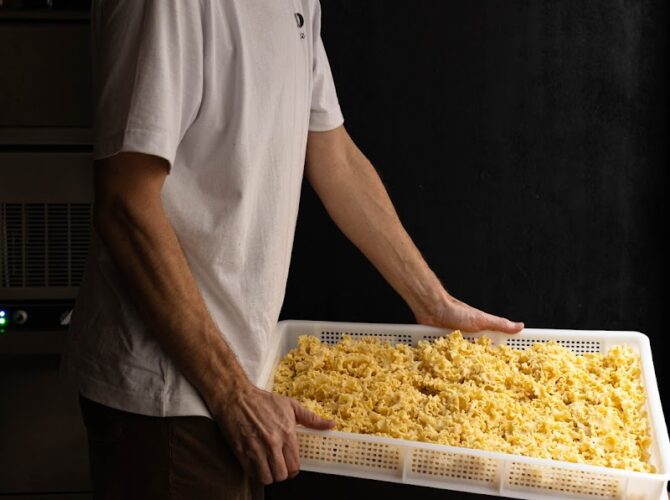 Restaurant SUGO pasta fresca – Saint-Augustin à Paris, France