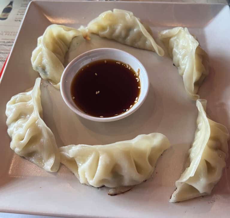 Gyoza – Ayako Sushi Semécourt – France – Semécourt