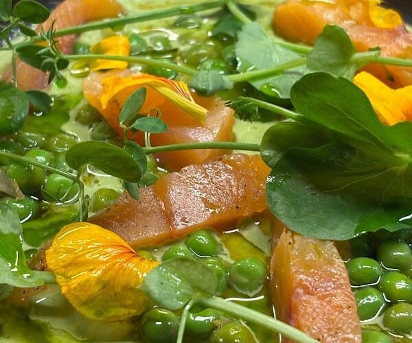 Restaurant Nuba – Arcachon à Arcachon, France