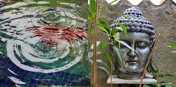 Restaurant Tan A à Aubagne, France