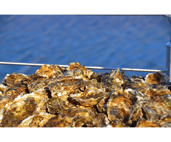 Restaurant LA CABANE à Marseillan, France