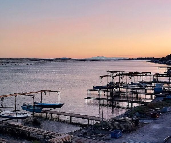 Restaurant La Table de Thau à Bouzigues, France