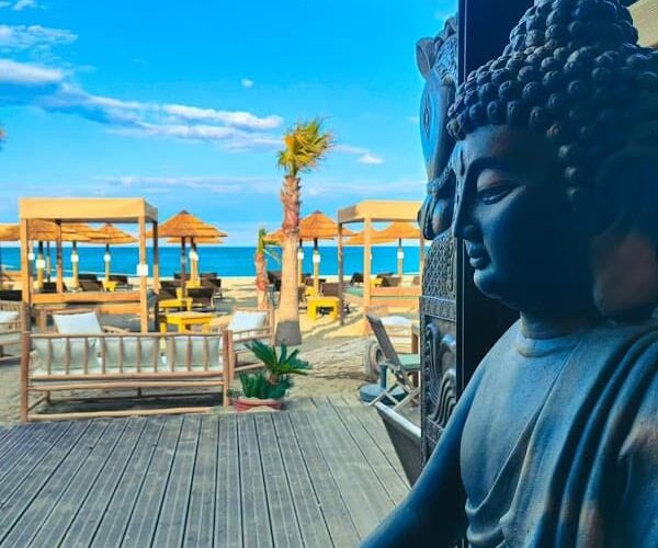 Restaurant Temple beach à Saint-Cyprien, France