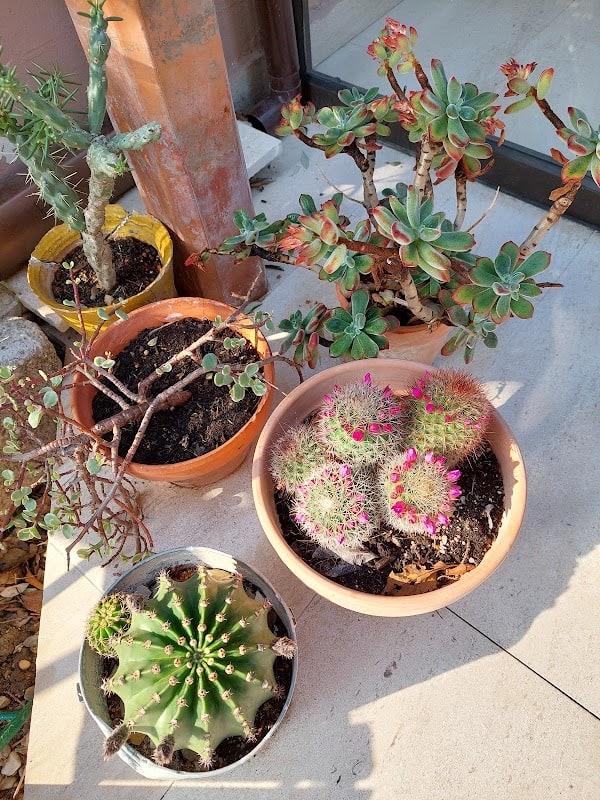 Restaurant Hostellerie de La Tour à Fontvieille, France