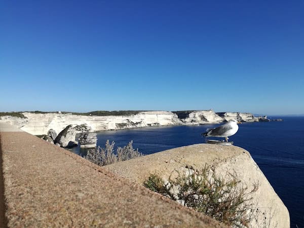 Restaurant I Gofeti à Bonifacio, France