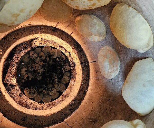 Restaurant Jardin du punjab à Vernouillet, France