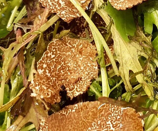 L.A restaurant à Sanary-sur-Mer, France