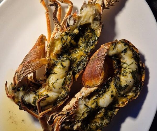 Restaurant Le Belvédère Gastronomique à Porto-Vecchio, France