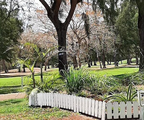 Restaurant Le Green Tee à L'Étang-Salé, La Réunion