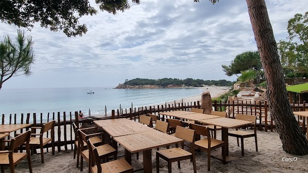 Restaurant Le Petit Chose Palombaggia à Porto-Vecchio, France