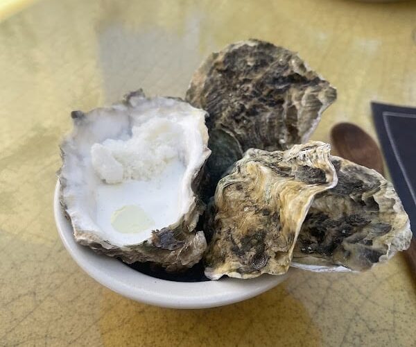 Le Restaurant – La Mirande à Avignon, France