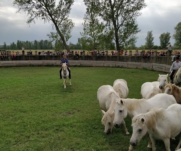 Restaurant Manade chauvet à Fontvieille, France