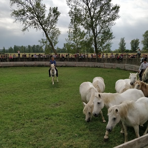 Restaurant Manade chauvet à Fontvieille, France