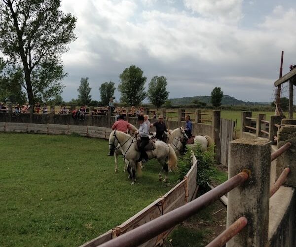 Restaurant Manade chauvet à Fontvieille, France