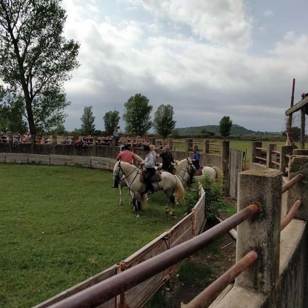 Restaurant Manade chauvet à Fontvieille, France