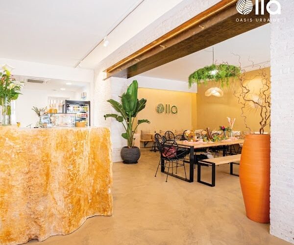 Restaurant Olla | Bowls gourmets à Montauban, France