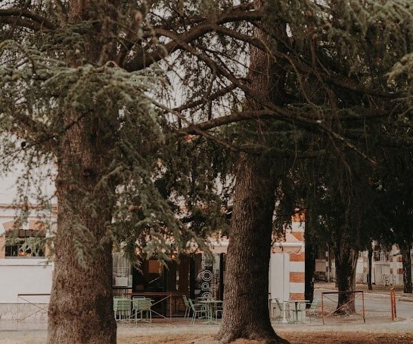 Restaurant Popote à Tarbes, France