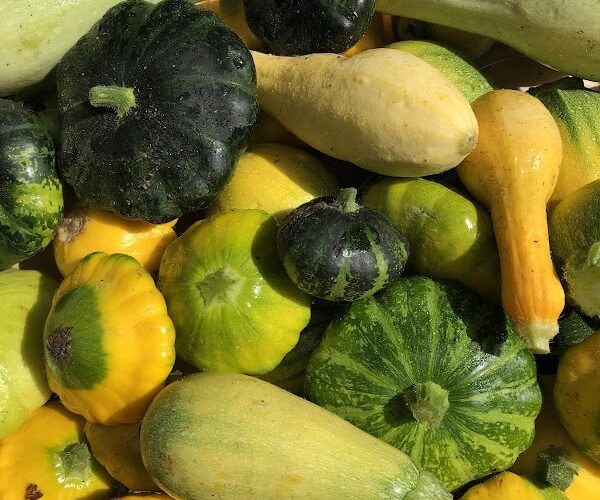 Restaurant Pottolo à Bayonne, France