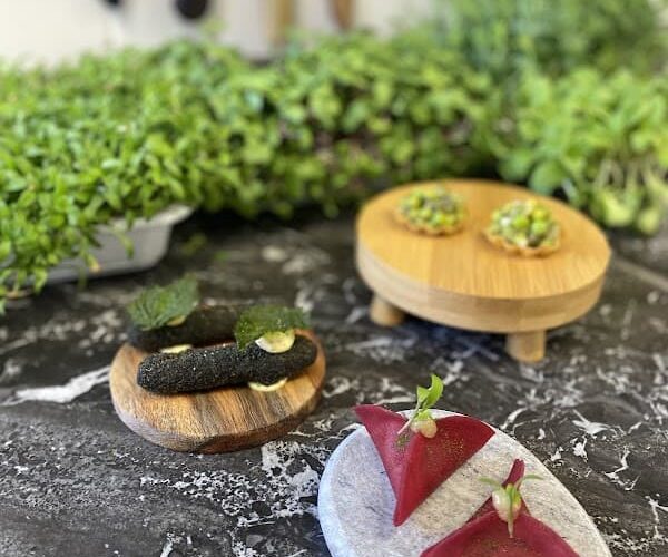 Restaurant Lacertus à Les Sables-d'Olonne, France