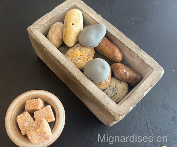 Restaurant Lacertus à Les Sables-d'Olonne, France