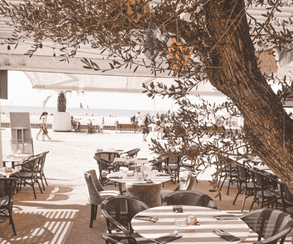 Restaurant Le Sud – La Grande Motte à La Grande-Motte, France