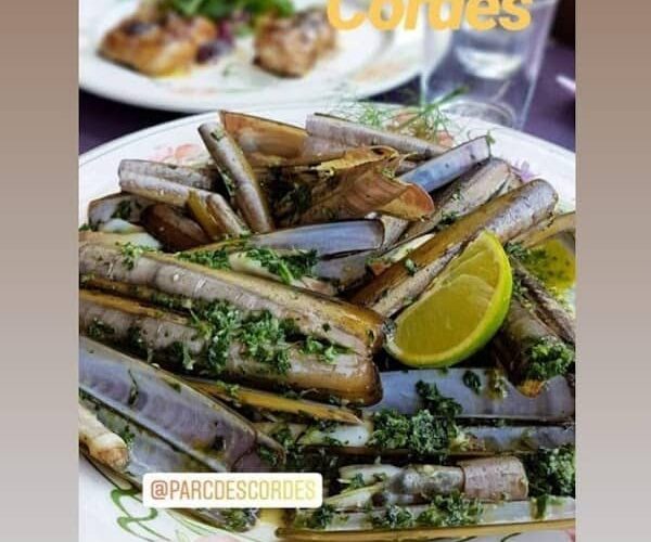 Restaurant parc descordes à Fontvieille, France