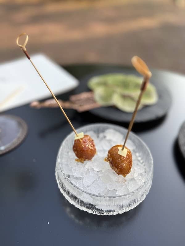 Restaurant Troisgros Le Bois sans feuilles à Ouches, France