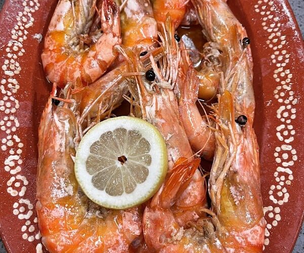 Restaurant VILA NOVA – Spécialités Traditionnelles Portugaises à Tourcoing, France