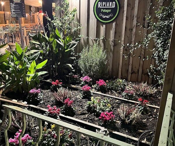 Restaurant Ripiano – Libourne à Libourne, France