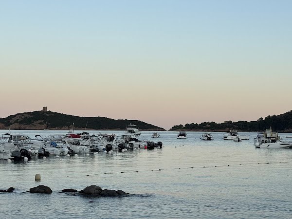 Restaurant Stella Diana à Zonza, France