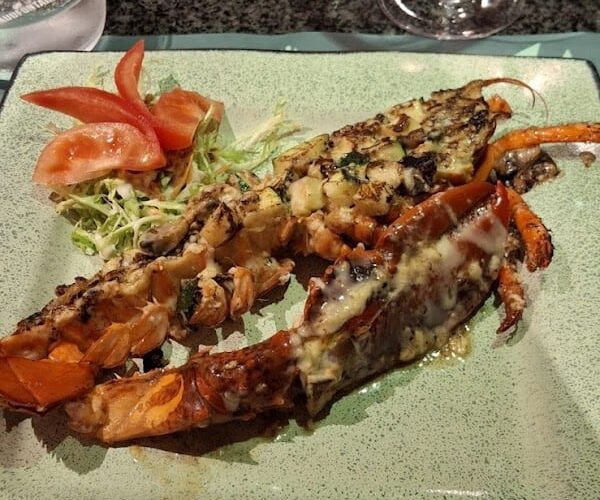 Restaurant Akira – Cuisine Japonaise à Tubize, Belgique