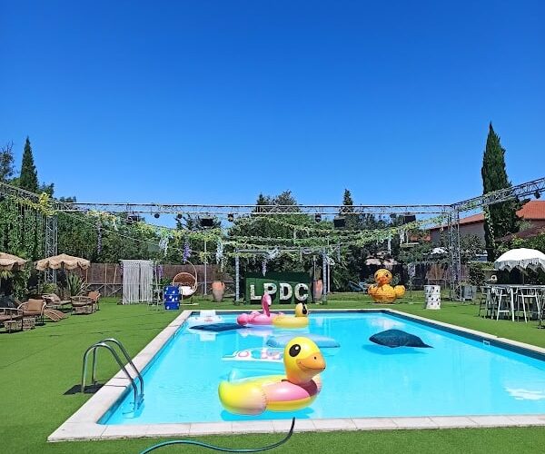 Restaurant Best Western Plus Le Canard Sur le Toit à Colomiers, France