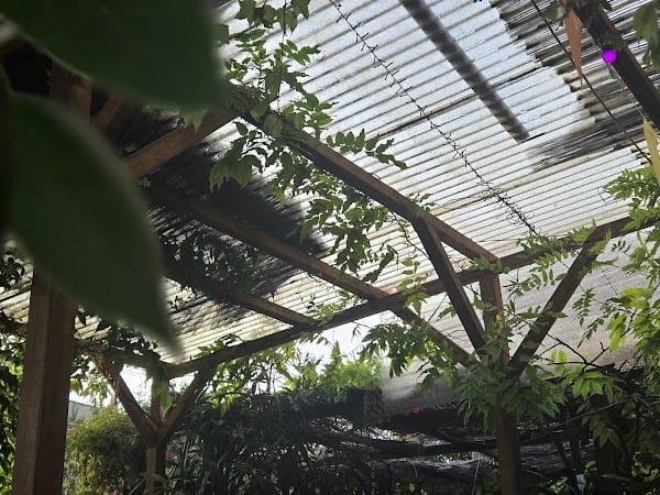 Restaurant Brasserie du Carré à Pessac, France