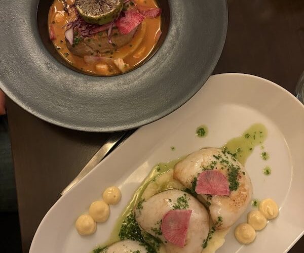 Restaurant Carré Sud à Albi, France