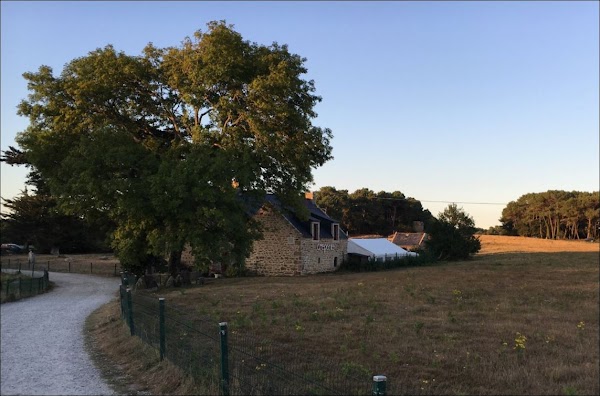 Restaurant Chez Céline à Carnac, France