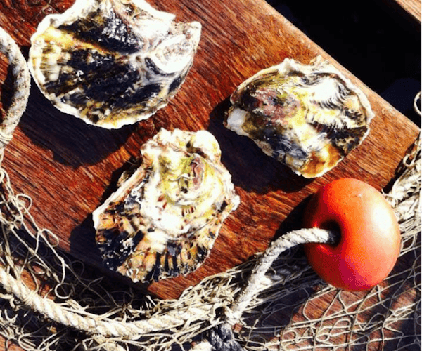 Restaurant Chez Cul d’Oursin à Leucate, France