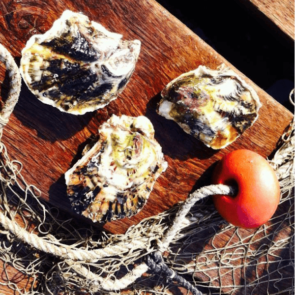 Restaurant Chez Cul d’Oursin à Leucate, France