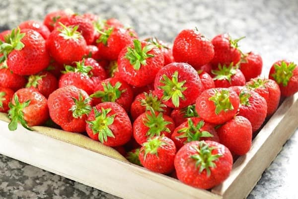 Restaurant Chez Le Pèr’gras à Grenoble, France