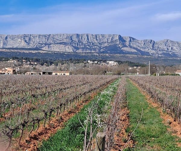 Restaurant Domaine Terre de Mistral à Rousset, France