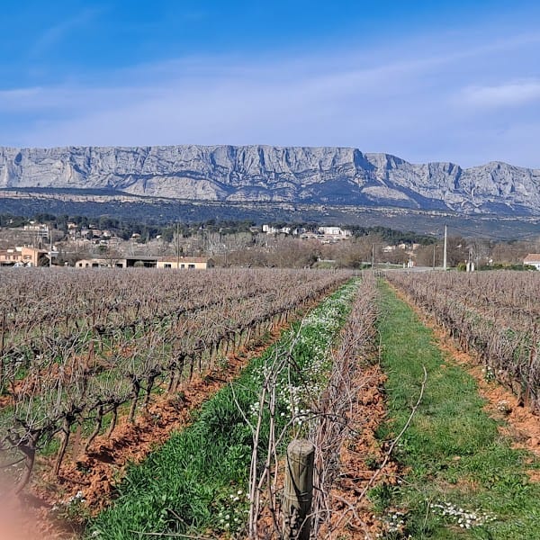 Restaurant Domaine Terre de Mistral à Rousset, France