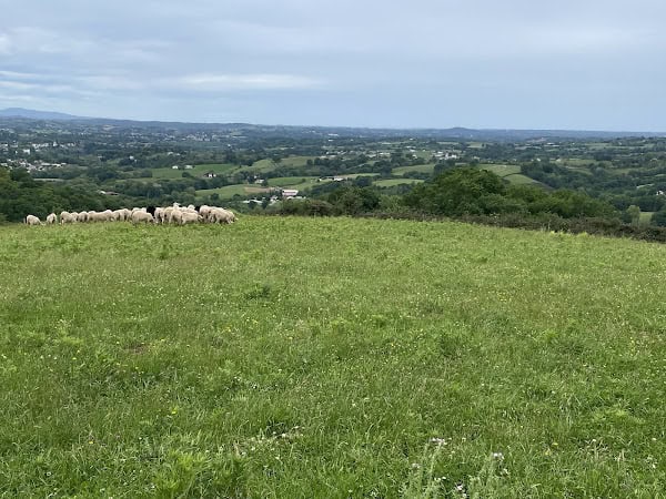 Restaurant Ferme auberge Komeiteko Borda à Hasparren, France