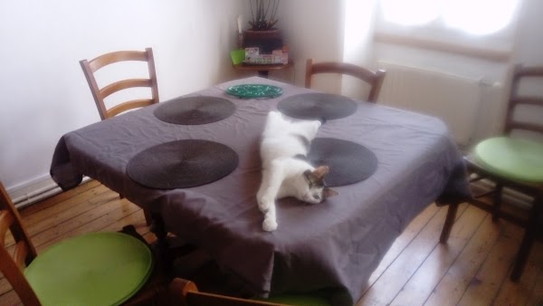 Restaurant Giraudet à Ancenis-Saint-Géréon, France