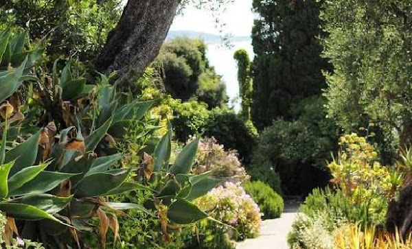 Hôtel-Restaurant Les Roches Brunes à Collioure, France