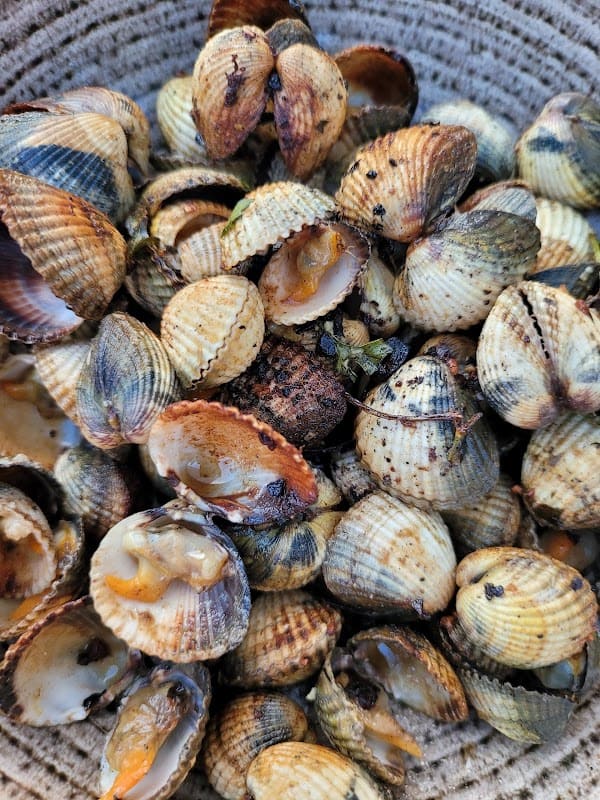 Restaurant KALICOBA à Lacanau, France